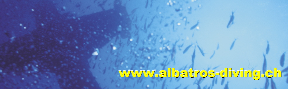 albatros-diving-Home